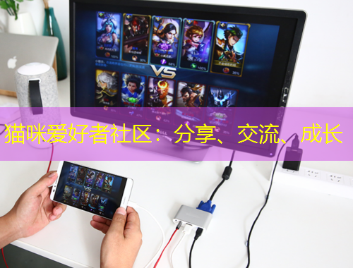 貓咪愛好者社區(qū)：分享、交流、成長