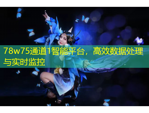 78w75通道1智能平臺(tái)，高效數(shù)據(jù)處理與實(shí)時(shí)監(jiān)控