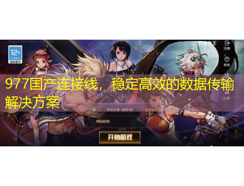 977國(guó)產(chǎn)連接線，穩(wěn)定高效的數(shù)據(jù)傳輸解決方案