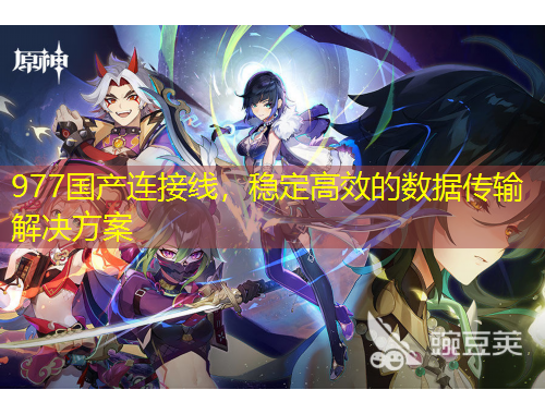 977國(guó)產(chǎn)連接線，穩(wěn)定高效的數(shù)據(jù)傳輸解決方案