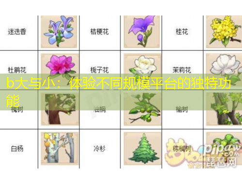 b大與?。后w驗不同規(guī)模平臺的獨特功能