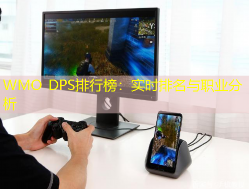 WMO DPS排行榜：實(shí)時(shí)排名與職業(yè)分析