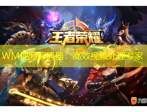 WM視頻解碼器：高效視頻處理專家