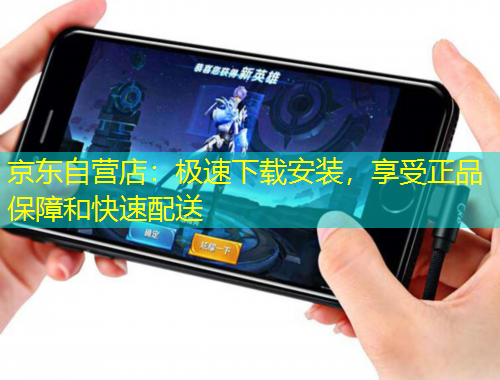京東自營(yíng)店：極速下載安裝，享受正品保障和快速配送