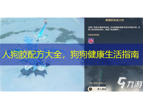 人狗膠配方大全，狗狗健康生活指南