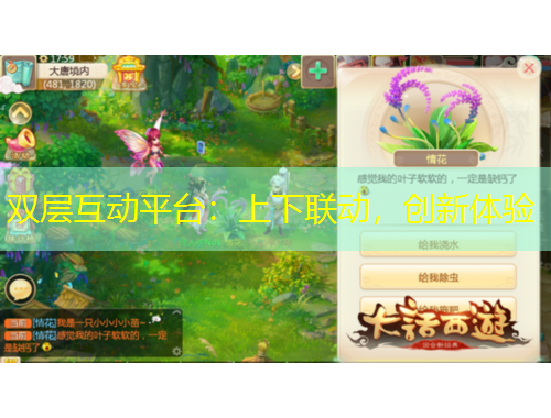 雙層互動平臺：上下聯(lián)動，創(chuàng)新體驗