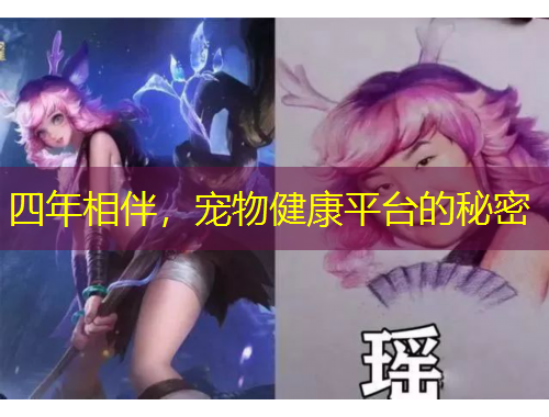 四年相伴，寵物健康平臺的秘密