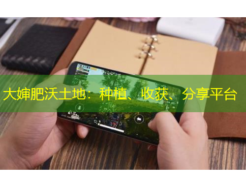 大嬸肥沃土地：種植、收獲、分享平臺(tái)