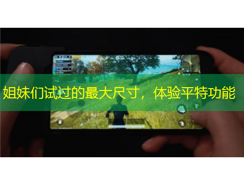 姐妹們試過的最大尺寸，體驗平特功能