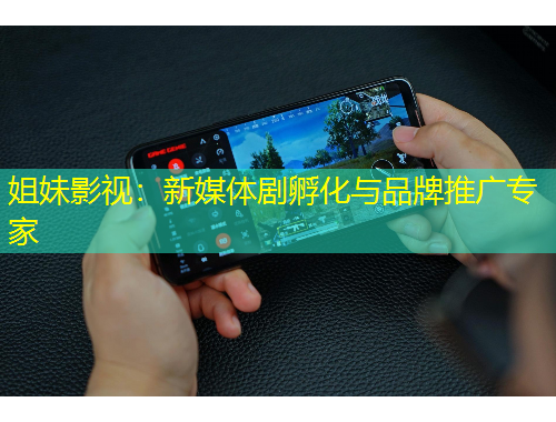 姐妹影視：新媒體劇孵化與品牌推廣專(zhuān)家