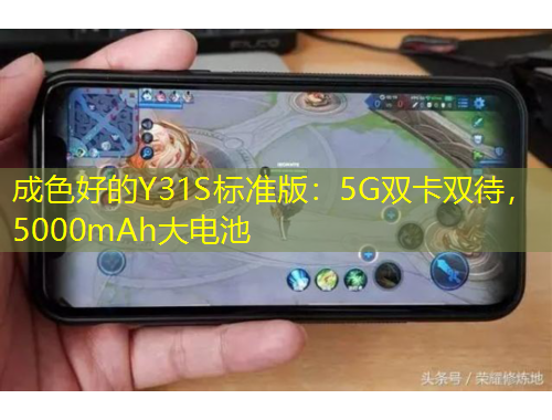 成色好的Y31S標(biāo)準(zhǔn)版：5G雙卡雙待，5000mAh大電池