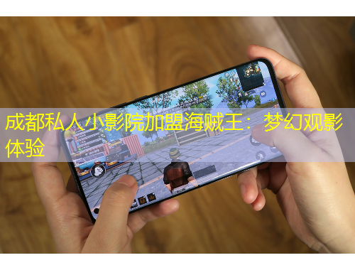 成都私人小影院加盟海賊王：夢幻觀影體驗