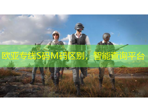 歐亞專線S碼M碼區(qū)別，智能查詢平臺