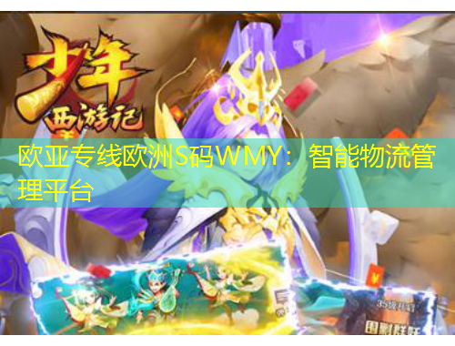 歐亞專線歐洲S碼WMY：智能物流管理平臺(tái)
