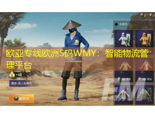 歐亞專線歐洲S碼WMY：智能物流管理平臺(tái)
