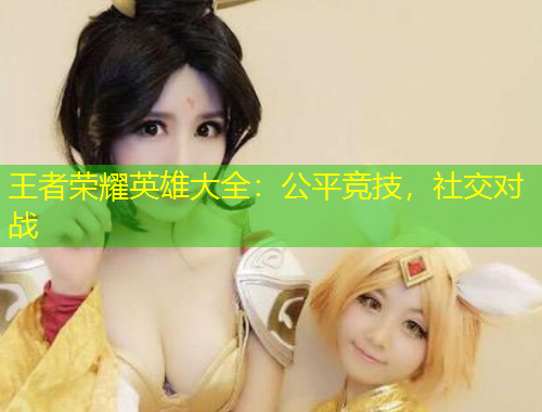 王者榮耀英雄大全：公平競(jìng)技，社交對(duì)戰(zhàn)