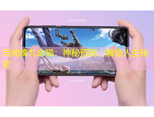 百聞牌九命貓：神秘預測，解鎖人生秘密