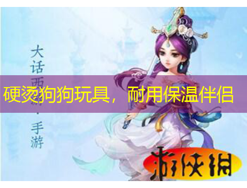 硬燙狗狗玩具，耐用保溫伴侶