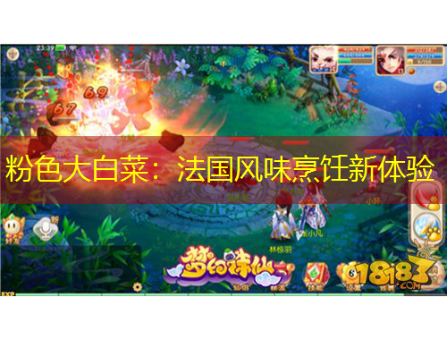 粉色大白菜：法國風(fēng)味烹飪新體驗