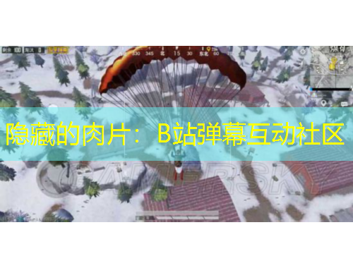 隱藏的肉片：B站彈幕互動(dòng)社區(qū)