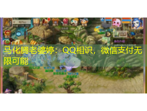 馬化騰老婆婷：QQ相識(shí)，微信支付無(wú)限可能