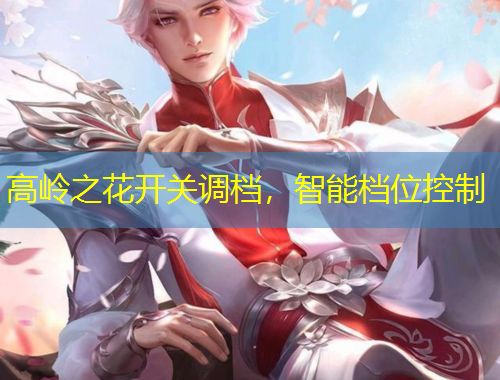 高嶺之花開關(guān)調(diào)檔，智能檔位控制