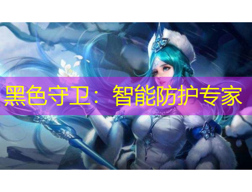黑色守衛(wèi)：智能防護(hù)專家