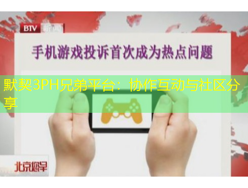 默契3PH兄弟平臺：協(xié)作互動與社區(qū)分享
