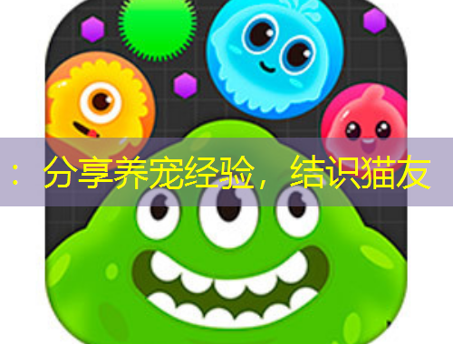 ：分享養(yǎng)寵經(jīng)驗(yàn)，結(jié)識貓友