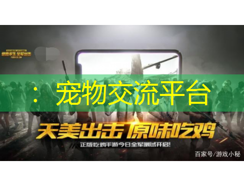 ：寵物交流平臺