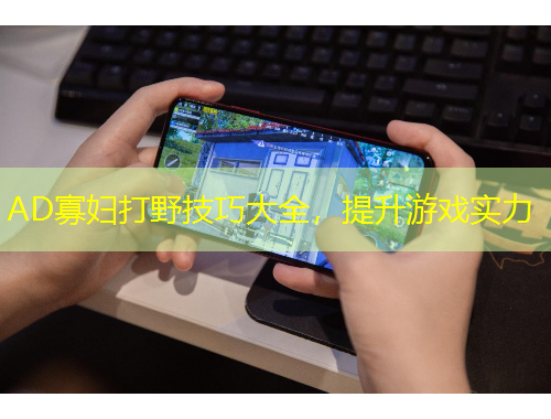 AD寡婦打野技巧大全，提升游戲?qū)嵙? title=