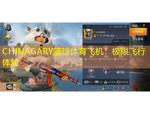 CHINAGARY籃球體育飛機：極限飛行體驗