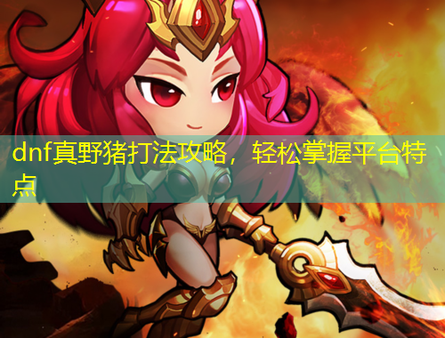 dnf真野豬打法攻略，輕松掌握平臺特點