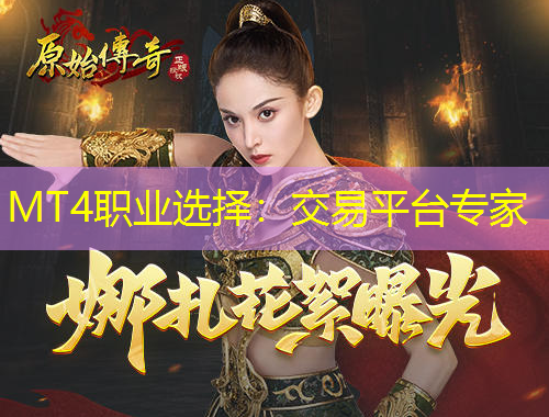 MT4職業(yè)選擇：交易平臺專家