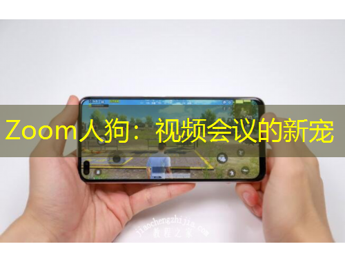 Zoom人狗：視頻會議的新寵