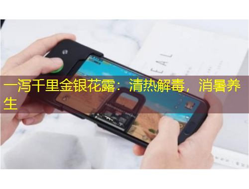 一瀉千里金銀花露：清熱解毒，消暑養(yǎng)生