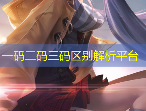 一碼二碼三碼區(qū)別解析平臺