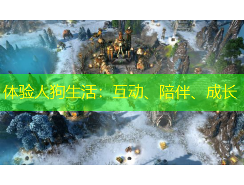 體驗人狗生活：互動、陪伴、成長