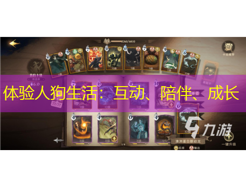 體驗人狗生活：互動、陪伴、成長