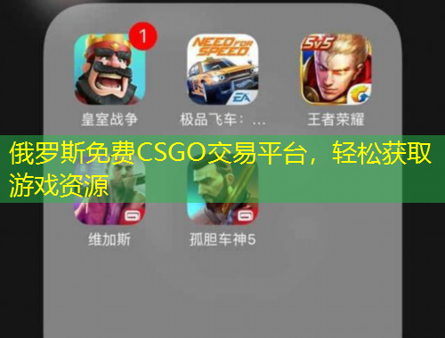 俄羅斯免費(fèi)CSGO交易平臺(tái)，輕松獲取游戲資源