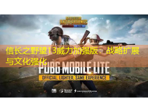 信長之野望13威力加強(qiáng)版：戰(zhàn)略擴(kuò)展與文化強(qiáng)化