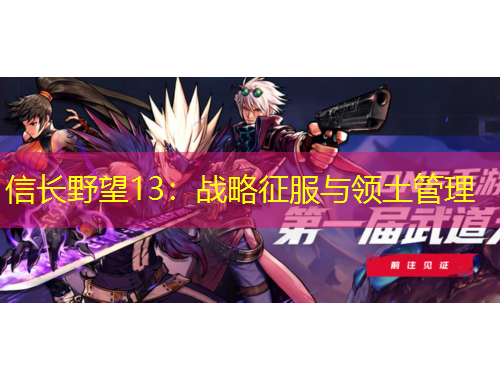 信長野望13：戰(zhàn)略征服與領(lǐng)土管理