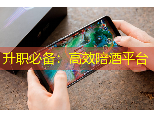 升職必備：高效陪酒平臺