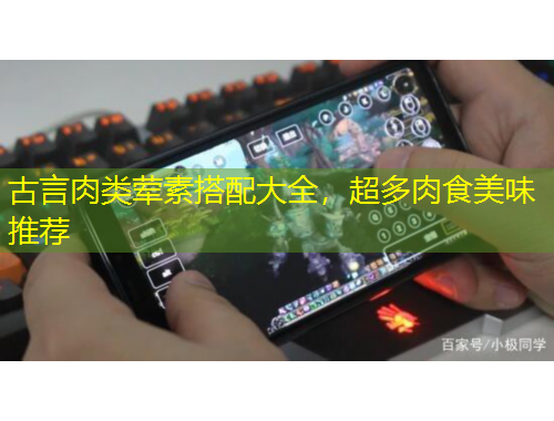 古言肉類葷素搭配大全，超多肉食美味推薦