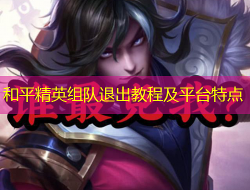 和平精英組隊退出教程及平臺特點