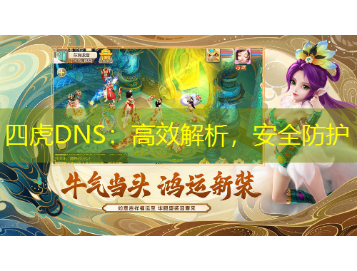 四虎DNS：高效解析，安全防護