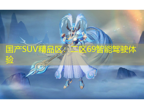 國產(chǎn)SUV精品區(qū)：二區(qū)69智能駕駛體驗(yàn)