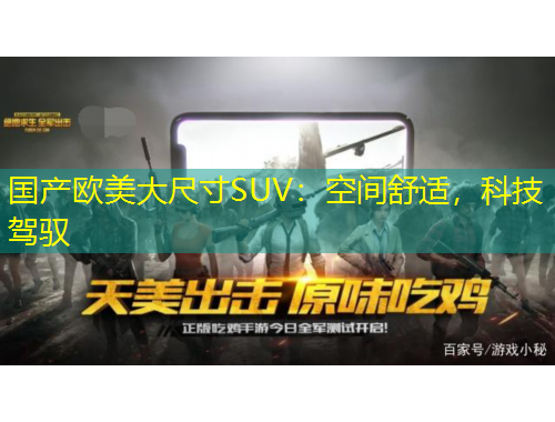 國產(chǎn)歐美大尺寸SUV：空間舒適，科技駕馭