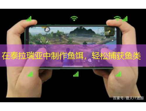 在泰拉瑞亞中制作魚餌，輕松捕獲魚類