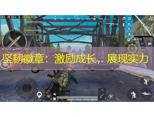 堅韌徽章：激勵成長，展現(xiàn)實力